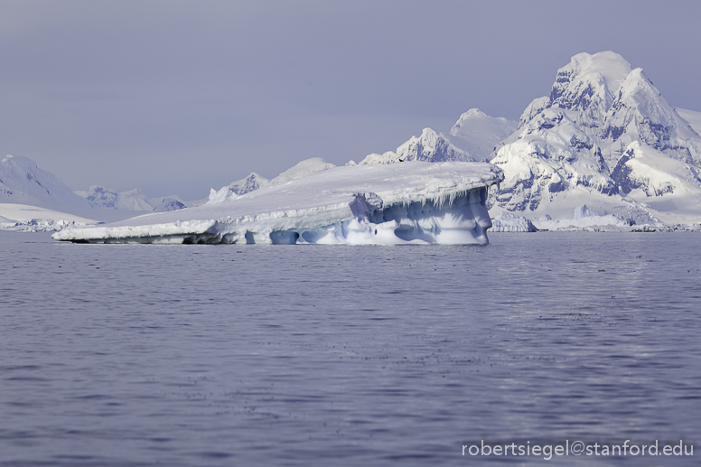 antarctica